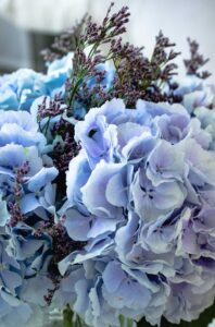 Blue hydrangea bouquet | Eat Cook Dine